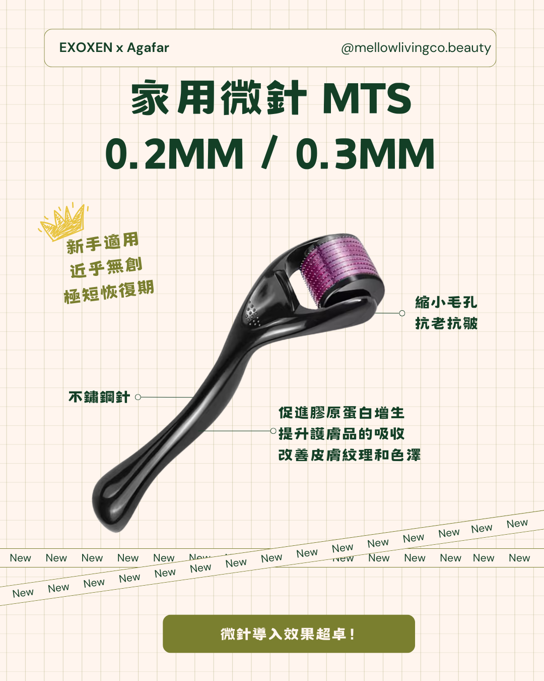 EXOXEN 外泌體細胞再生療程