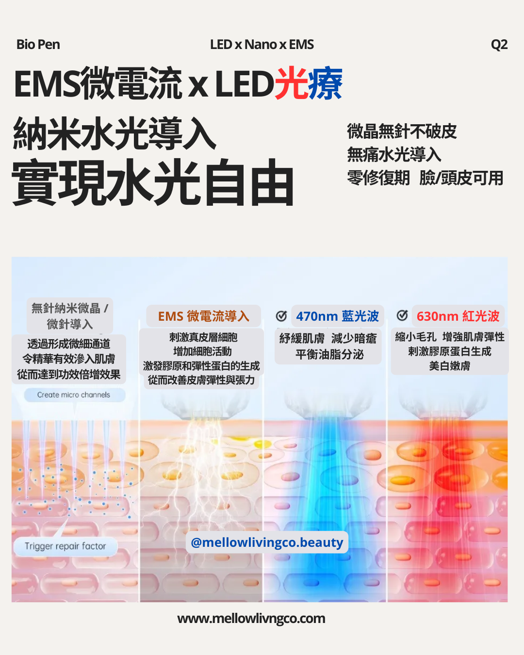 Bio Pen Q2 納米水光導入 電動微晶/微針x MTS x LED