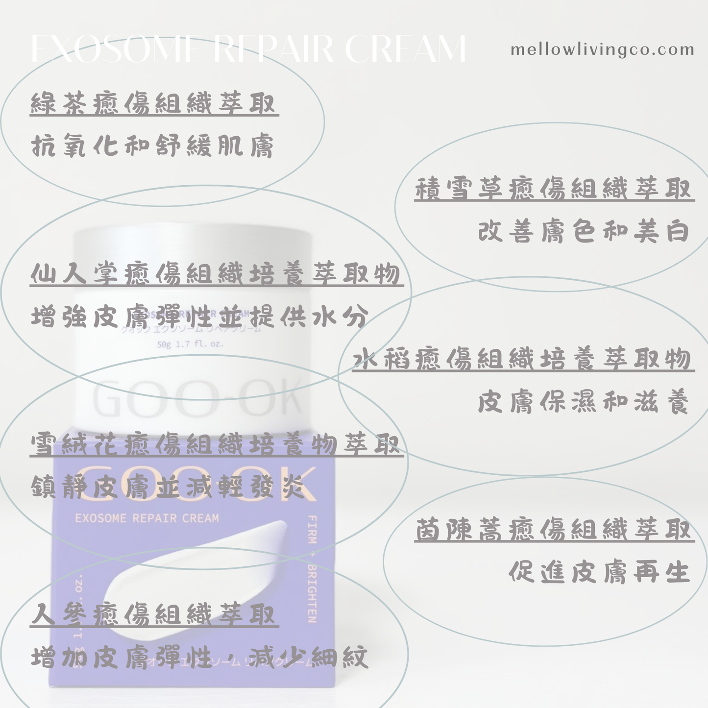 GOO-OK 外泌體奇蹟修復面霜