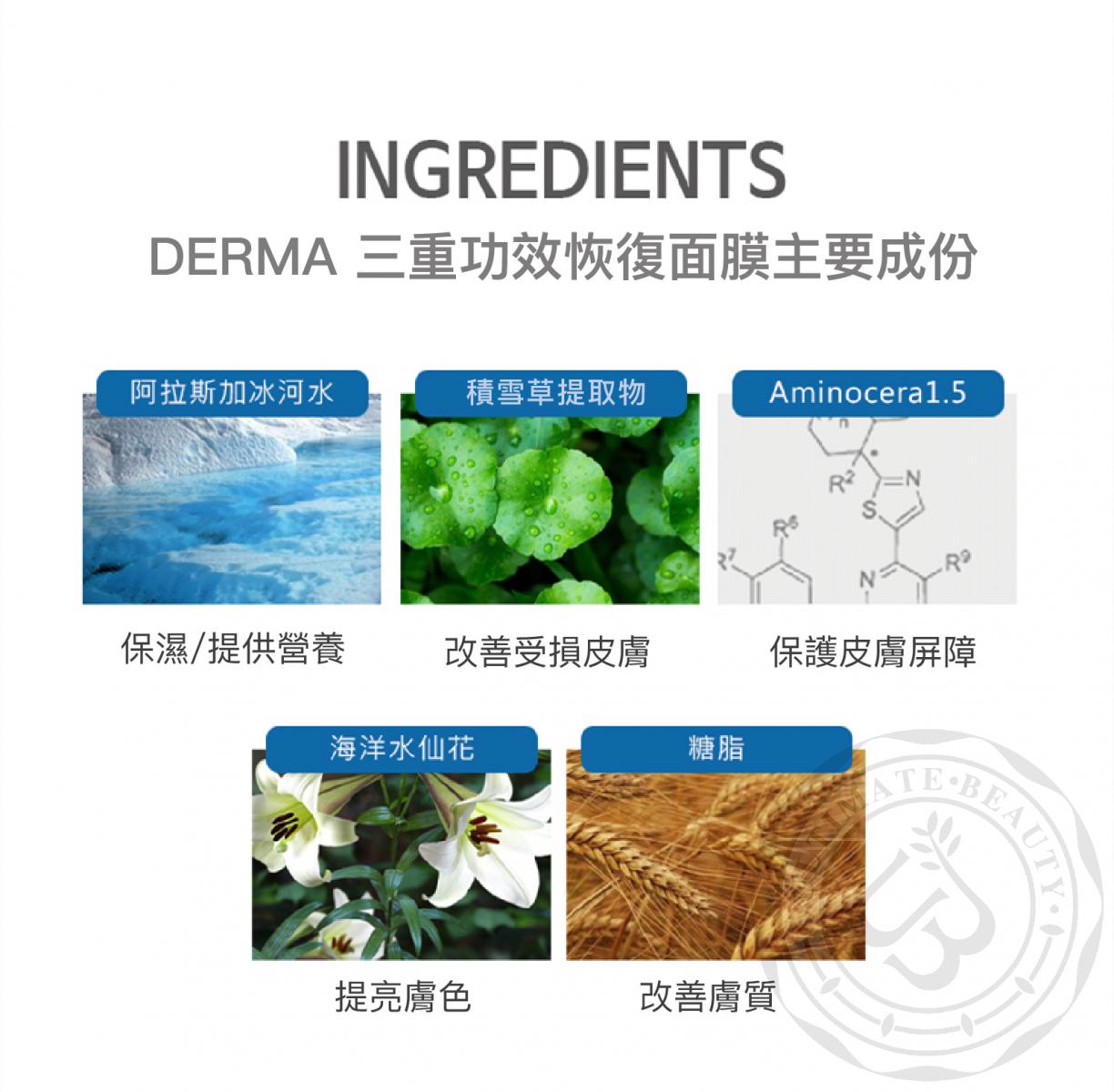 Derma Ez Jet 微針印章 MTS療程 (一次)