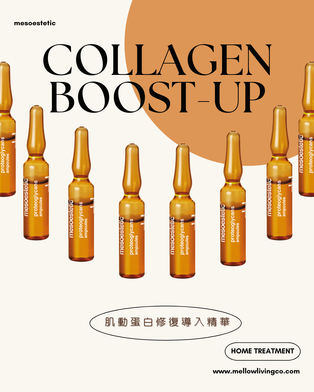 Mesoestetic 肌動蛋白修復導入精華