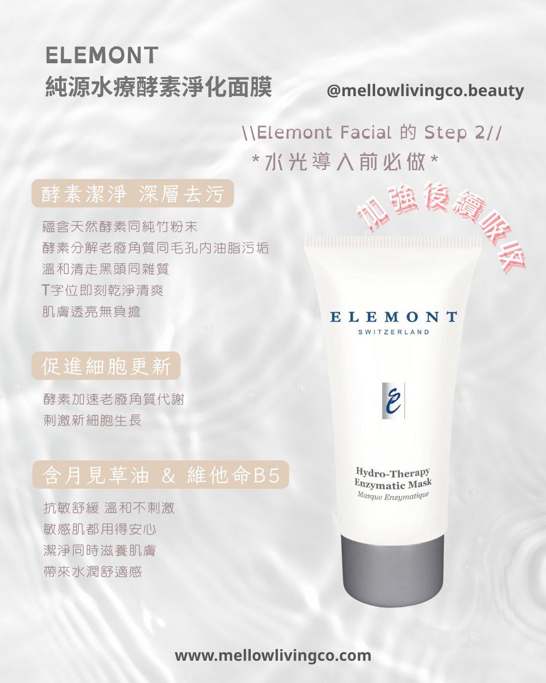 ELEMONT 純源水療酵素淨化面膜 60g