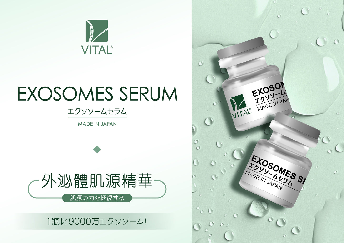 Vital 日本臍帶血外泌體導入精華